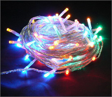 TWINKLE LIGHT,  ,  
